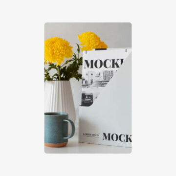 In Case You're Curious